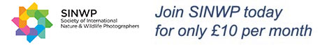 Join SINWP today