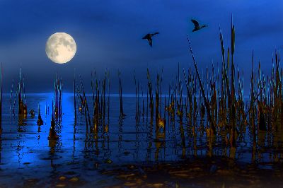 Great Outdoors Competition