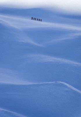 Great Outdoors Competition