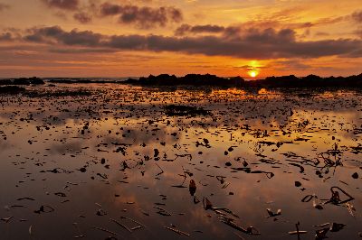 Great Outdoors Competition