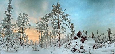 Great Outdoors Competition