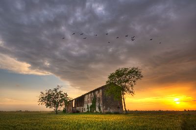 Great Outdoors Competition