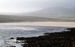 sample image created by Mark Archibald