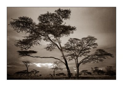 sample image created by Costas Kyriakides