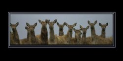 sample image created by Alastair Perrett